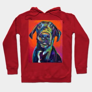 Hank, the Handsome Great Dane Hoodie